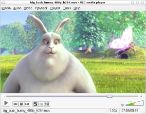 vlc-plugin-libde265 mac